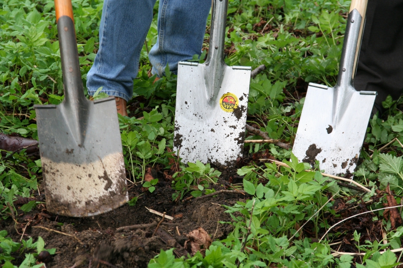 pepiniere-LE ROURET-min_work-lawn-flower-tool-green-backyard-1103633-pxhere.com